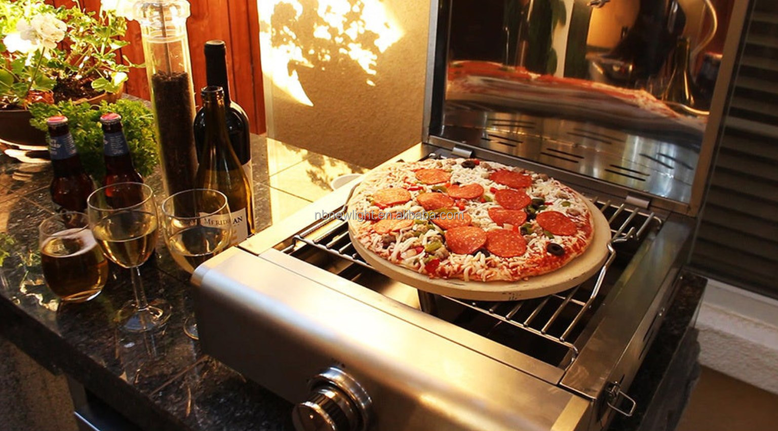 Rotisserie Roaster Propane Grill with Tabletop Pizza Maker and Stainless Steel Housing