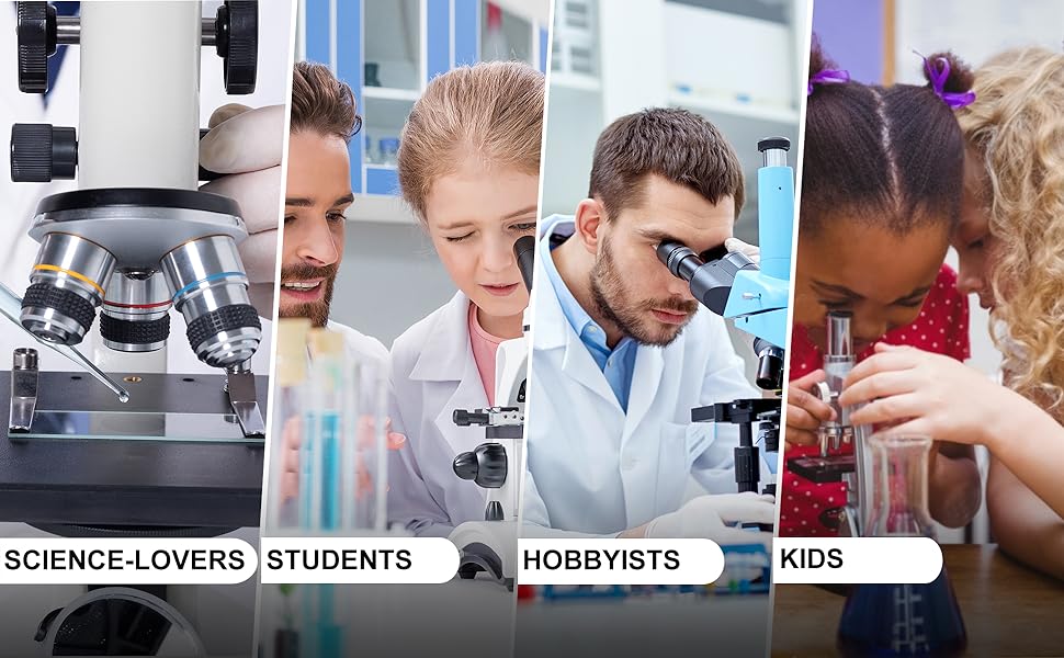 Microscope Slides And Covers