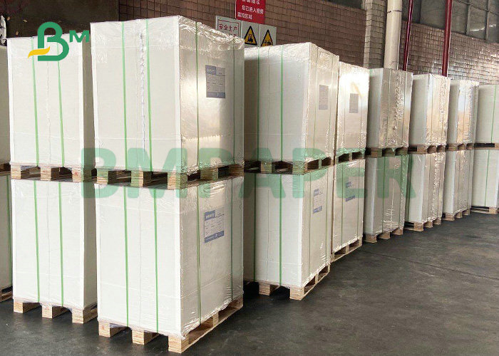 FSC Certificated 70X100CM 12PT 16PT C1S Ivory Board GC2 Cardboard
