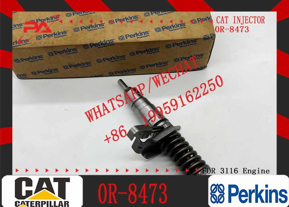 Excavator Parts CAT 3114 3116 3216 Engine fuel injector fuel injector 4P-2995 6I-3669 0R-8471 0R-8475 0R-8473