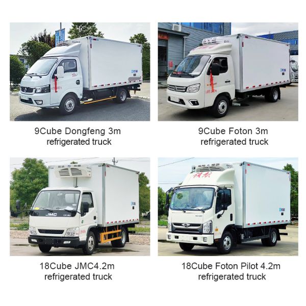 Isuzu KV100 Refrigerated Truck and Double Cab Refrigerator Truck for to International Market