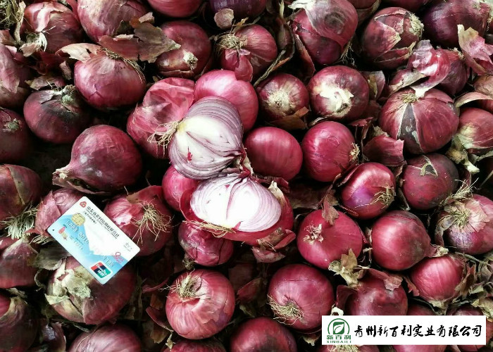 Round Shape Sweet Yellow Onion No Pesticide Residues Without Pollution