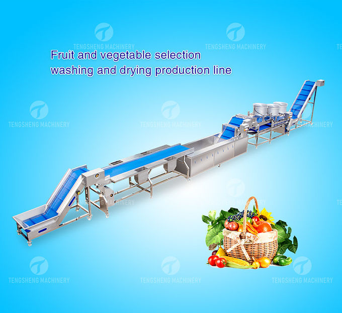 1500KG/H Orange Selection Fruit And Vegetable Processing Line