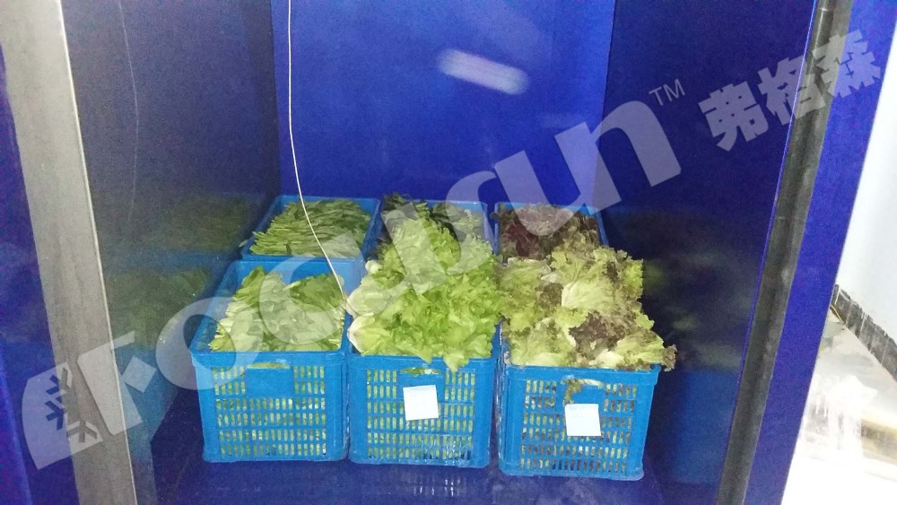 Fast Cooling for Vegetables Easy Vacuum Cooler at 380V/3P/50Hz or 220V/3P/50Hz Voltage