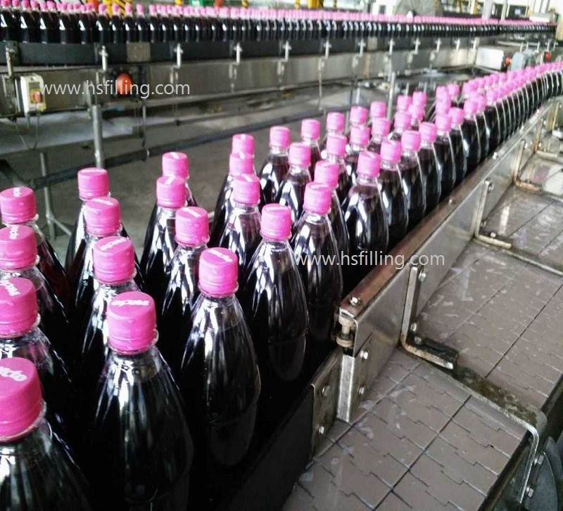 4000BPH Automatic Bottle Ginger Ale Carbonated Drink Filling Machine Stainless Steel 304 316