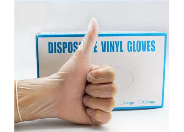 Non Sterile PVC Exam Gloves