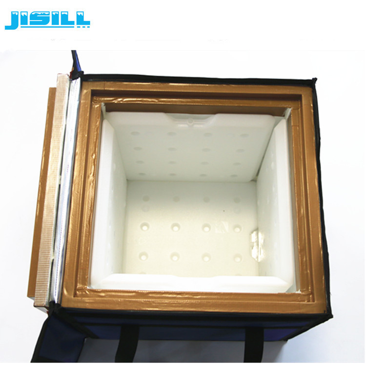 Reusable Ice Cooler Box For Negative Temperature Pcm Applications Pantone Color