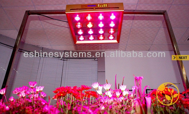 5G Growsun full spectrum 320w high power led grow lights for medical plant hydroponic grow