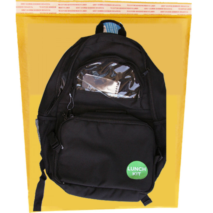 Kraft Shipping Package Envelope With Bubble Wrap Inside Shock Resistance