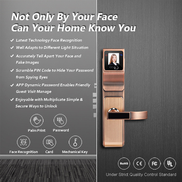Smart 3D Infrared Face Recognition Door Handle Lock For Family and Company