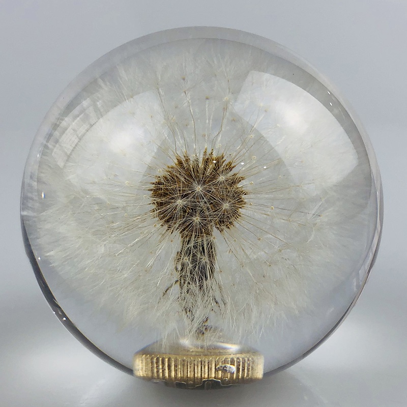 Gear shift knob with real dandelion inside