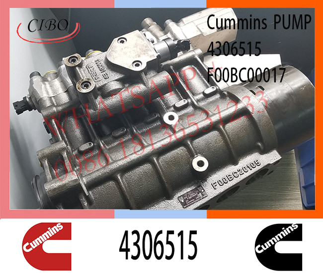 4306515 QSK60 Engine Injection Pump 2881172 2888798 3972815 5264246