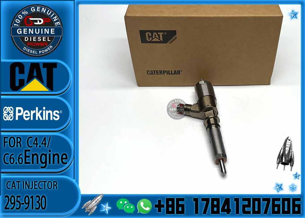 diesel engine parts Common rail injector 295-9130 382-0480 282-0490 292-3780 306-9380 306-9390 310-9067