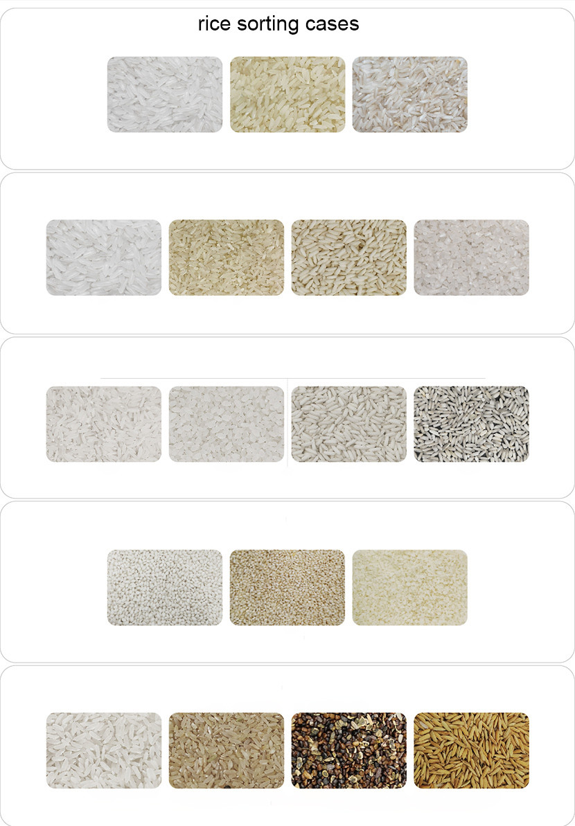 220v 50hz Rice Color Sorter Machine With 192 Channel