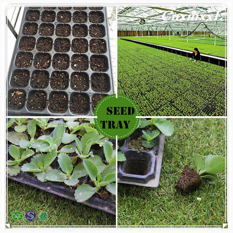 1.5inch Hole Germination Plastic Planting Trays Anti Aging 72 Cell Propagation Tray