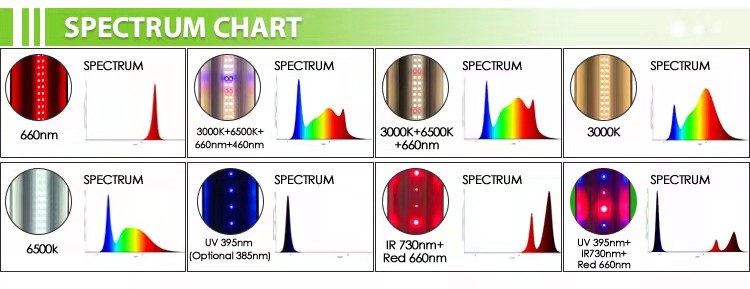 45w Veg LED Grow Light For Strawberry Lettuce Tomato Samsung T5 T8 Bar