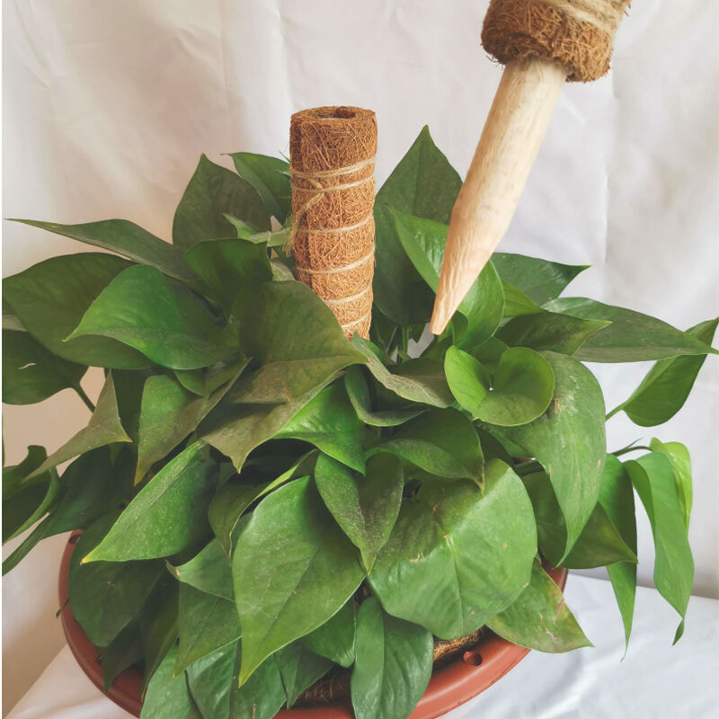 Plant Support Stackable Moss Poles for Plants Coir Totem Pole Tall Moss Pole for Climbing Plants Sphagnum
