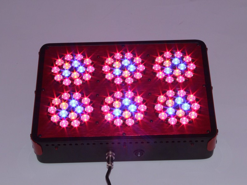 wholesale abibaba hydroponics apollo6 full spectrum led grow lights/led aquarium light cre