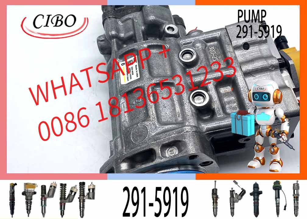 Fuel Injection Pump 317-8021 291-5919 for C6.6 Engine 320D 322D Excavator