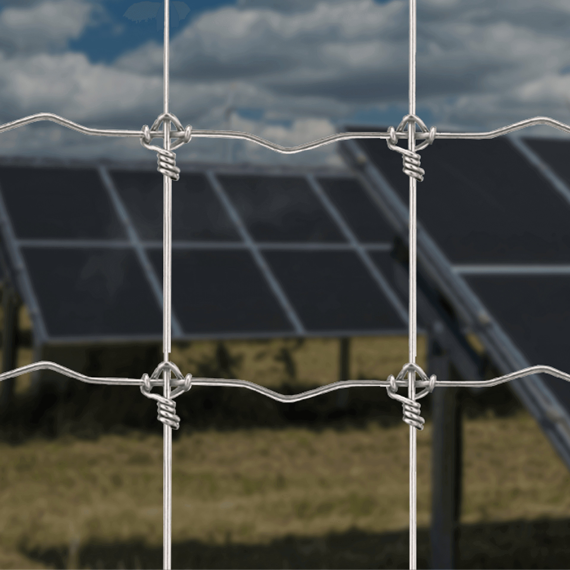 Wood High Tensile Fixed Knot Wire Fencing For Cattle High Strength Galvanized