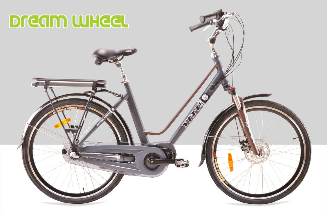 28km/H Electric Urban Bikes 36V 350W Middle Gear Motor Aluminum Frame