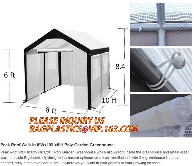 Easy install greenhouse tomato single-span Plastic Film Green House,Low cost garden green houses for plating, PACKAGES 3