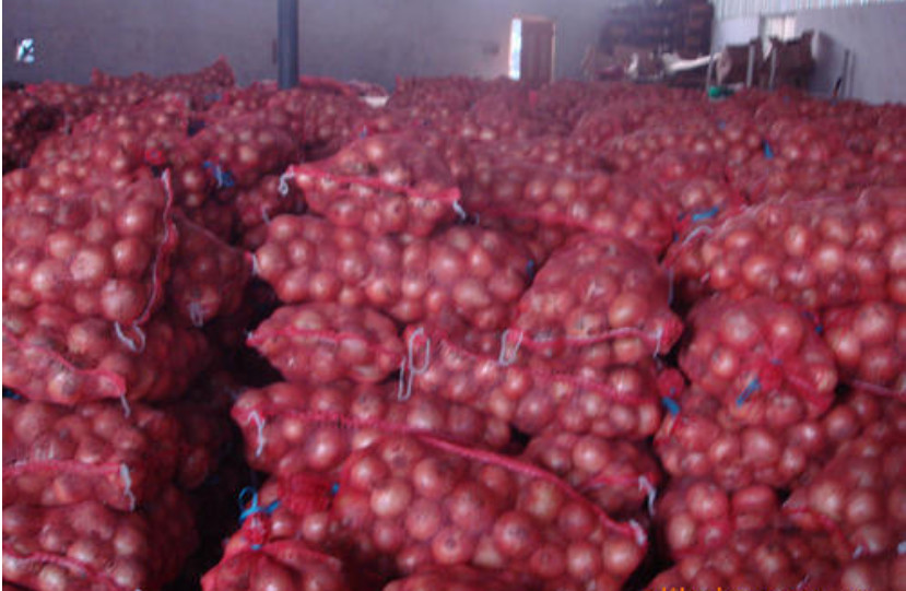 Metabolism Enhancing Fresh 6cm Restaurant Red Onion