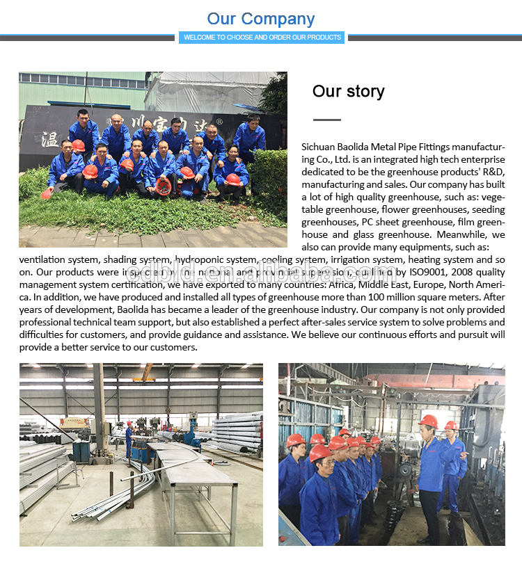 Our Company