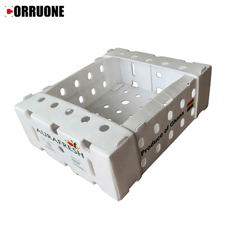 Bio PP Corrugated Sheet Recyclable Polypropylene Hollow Board