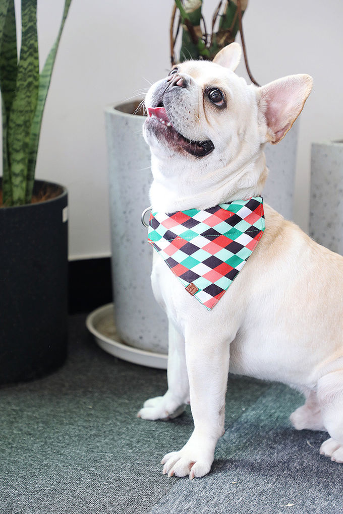 Slip On Christmas Dog Bandana Collar Dog Neck Handkerchief Sublimation