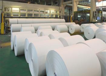 Brightness Paper Co., Ltd.