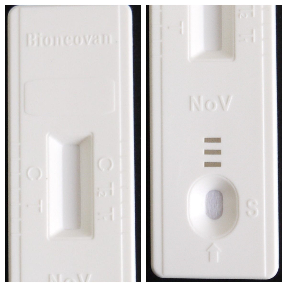 Rapid Test For Detection Of Norovirus Antigen With 20kits Colloidal Gold Method with CE