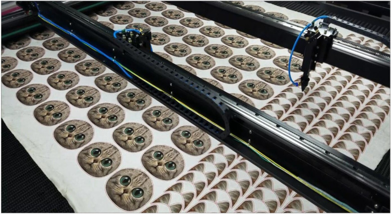Custom Automatic Cloth Cutting Machine , Printed Toy Laser Cutting Machine