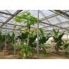 Buy cheap Tomato Planting Ecological Greenhouse Steel Structure Main Frame Long Lifetime from wholesalers