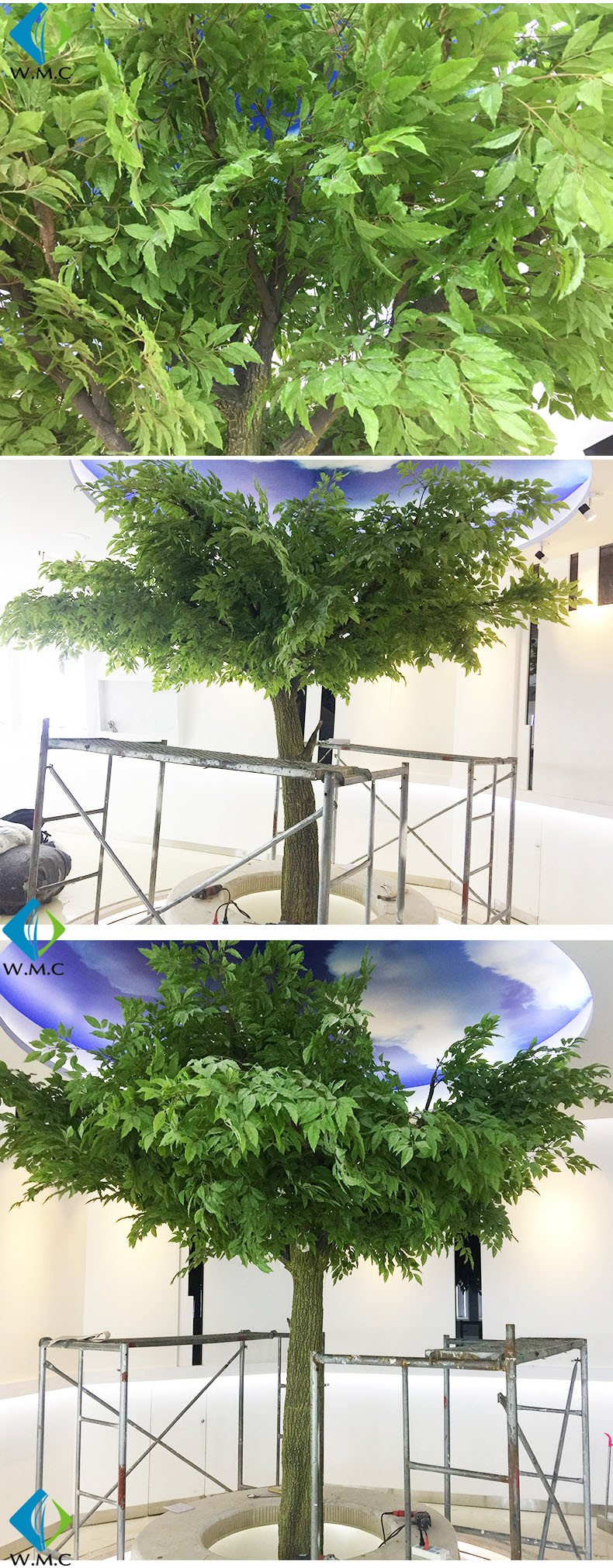 T10112 happy tree.jpg