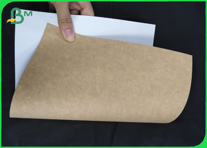 Stain Resistance FDA 300 GSM Coated kraft board for medicine packaging box