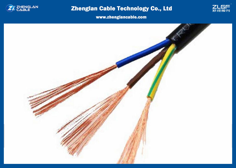 300/500V Fire Resistant Cables/ PVC insulated Standard: IEC227-4 or JB/T8734.2-2016（2Cores & 3 Cores）