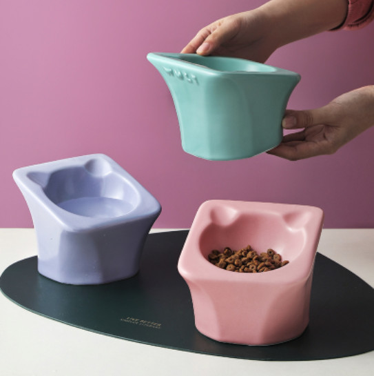 Elevated Food Water Slow Feeder Bowls Ceramic Raised Tilted
