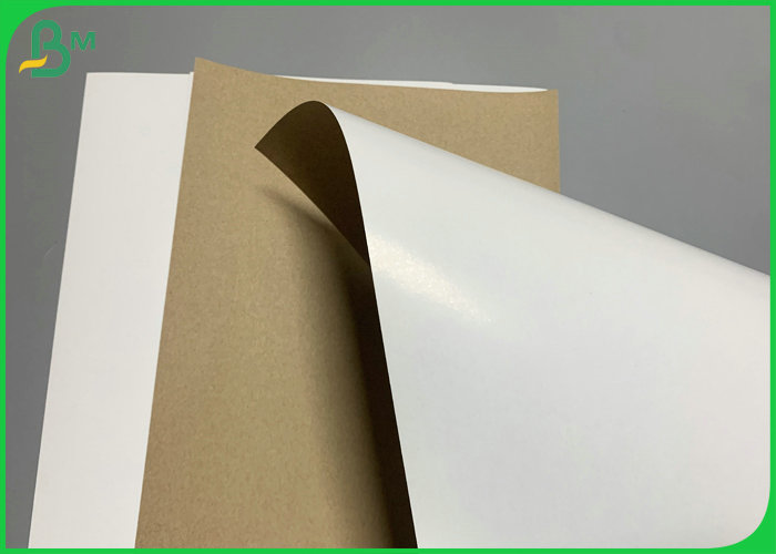 350gsm Food Grade White Coated Kraft Back Paper Wood Pulp Food Box Paper