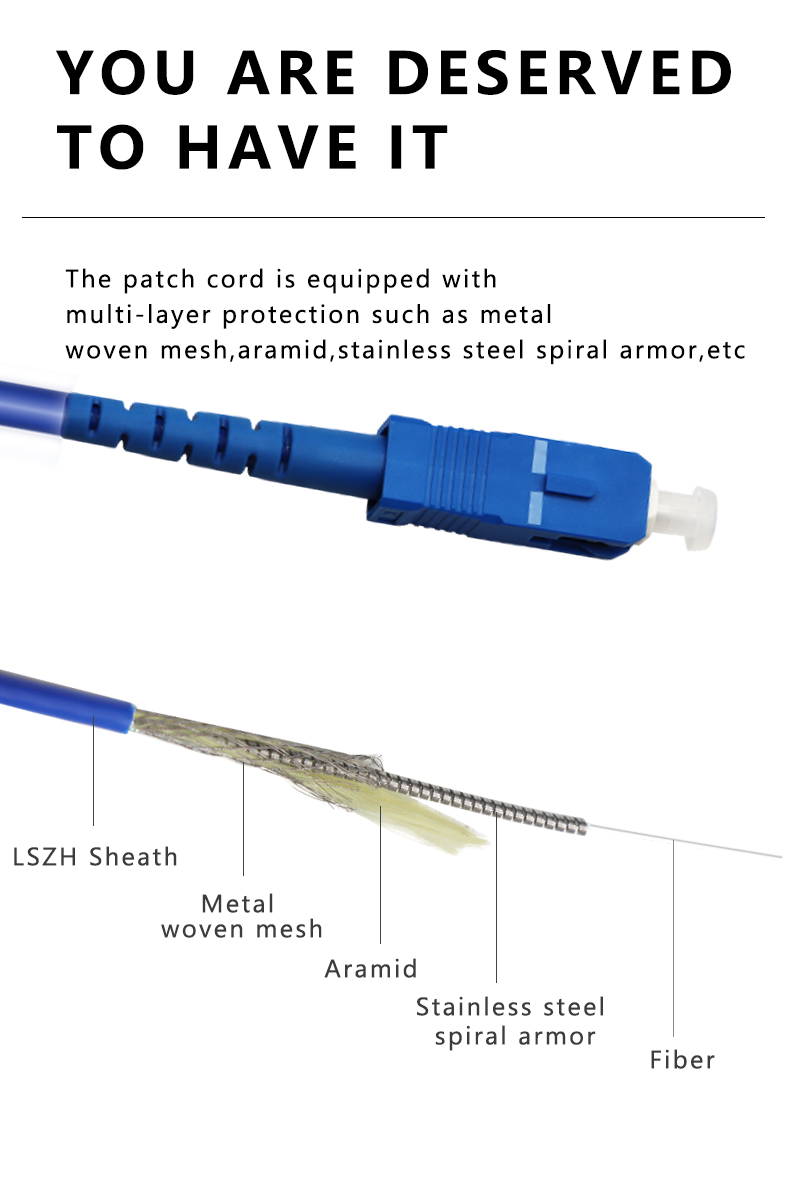 4G Network Simplex SC LC FC ST UPC APC PVC LSZH OS2 2.0mm 3.0mm Optic Fiber Patch Cord
