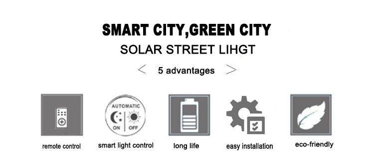 Installed On Poles And Walls LED Solar Street Lamp SMD Chips CE Rohs