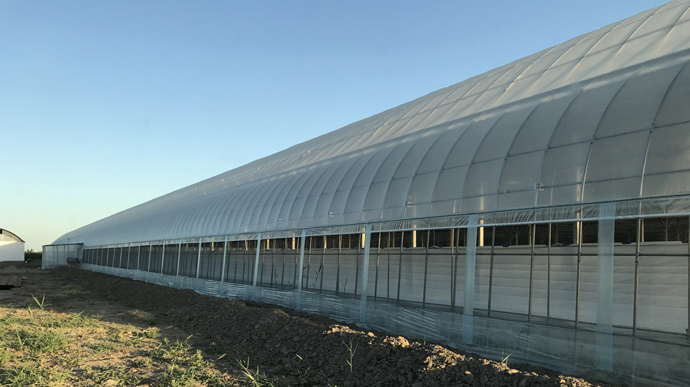 Pressure-Resistant Glass House for Large-Scale Growth of Vegetable Fruits and Flowers