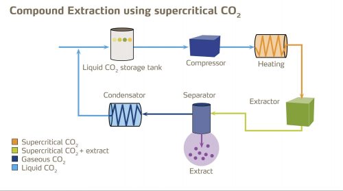 Supercritical CO2 Extraction Cinnamon Oleoresin