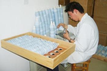 WUHU DAYI SPORTS GOODS CO., LTD