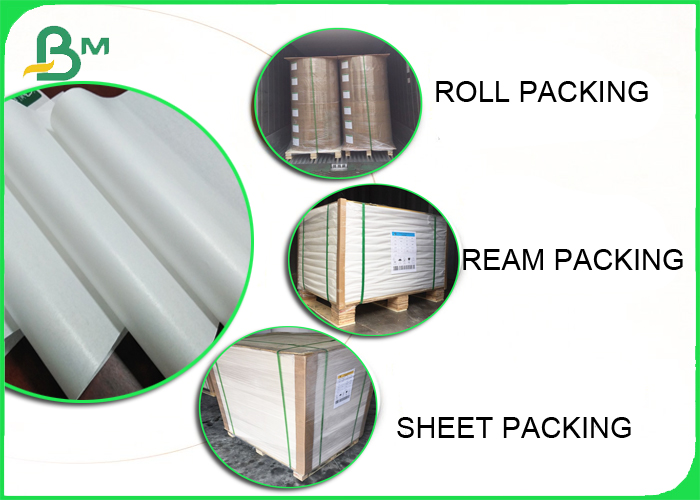 FDA 26 - 50gr White Paper Kraft Paper Roll high gloss with Grease Proof 
