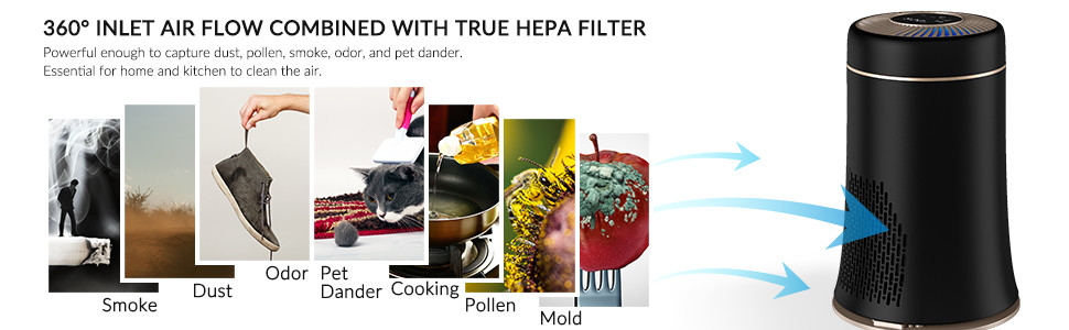 H13 True HEPA Filter PM2.5 Air Filter 24dB Low Noise For Home Allergies Pets Hair