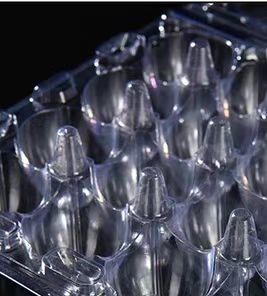 24 Hole Disposable Plastic Egg Containers PVC Vacuum Formed Transparent