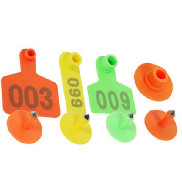 85 Ton Vertical Rotary Plastic Table Injection Molding Machine Used For Animal Ear Tags