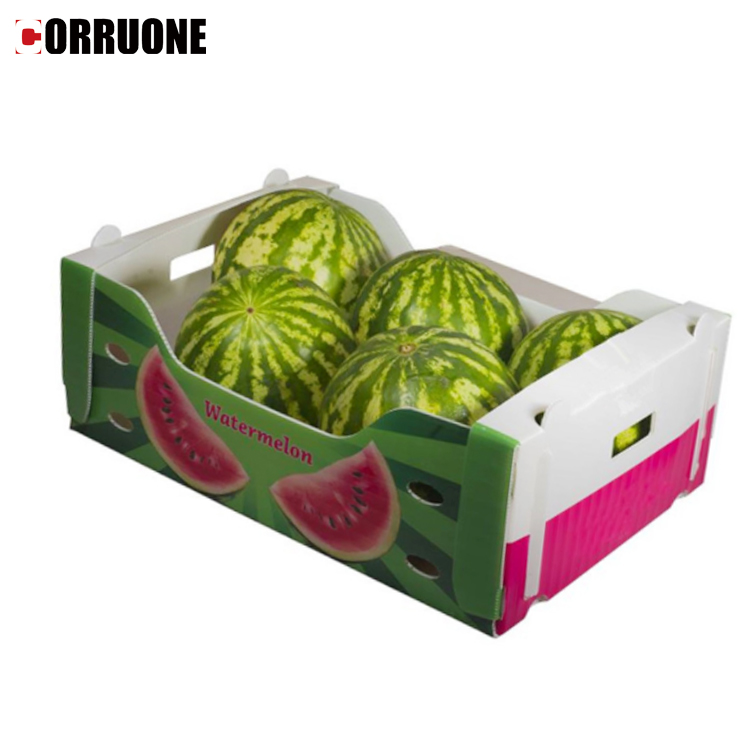 PP/PE plastic box for Fruits and vegetables