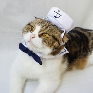 China Navy Set Cats Wearing Clothes Loveable Fashionable Any Logo Available on sale